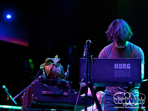 The Antlers in concert