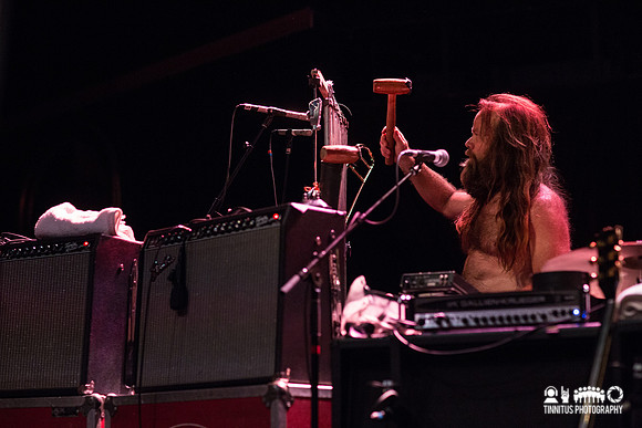 Swans in concert