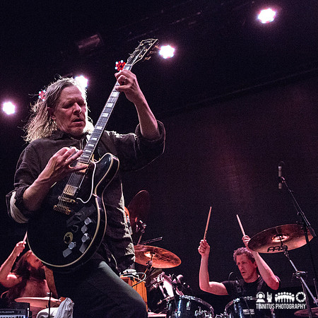 Swans in concert