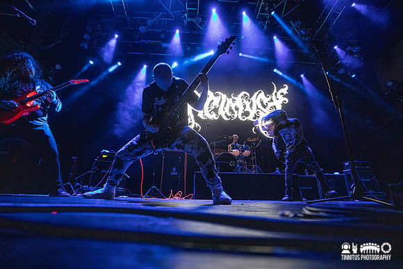 Vaelmyst in concert
