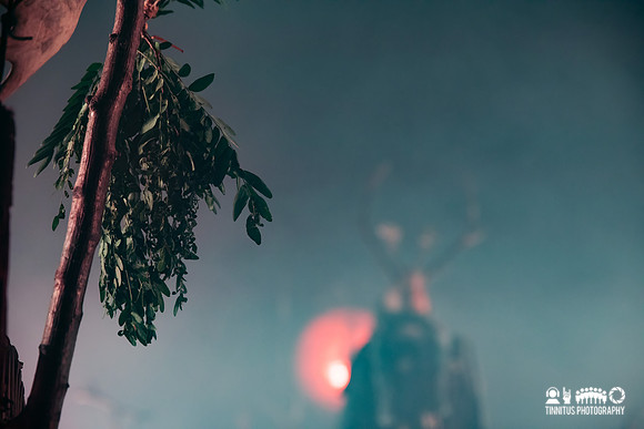 Heilung in concert