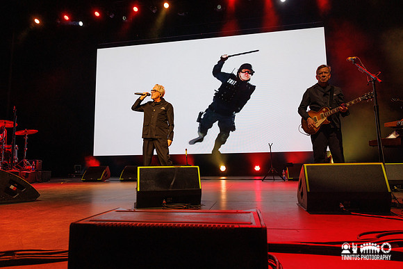 Devo in concert
