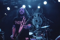 Elephant Tree in concert