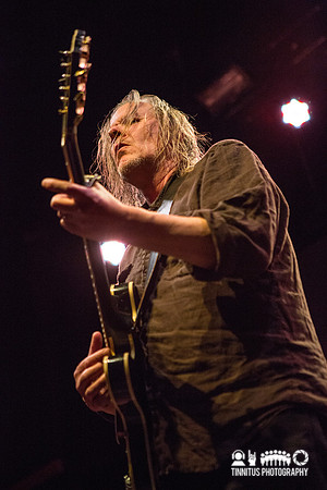 Swans in concert
