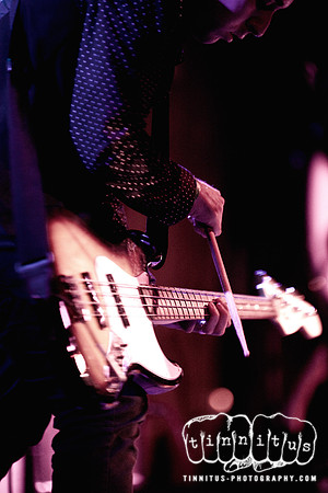 Mark Burgess in concert