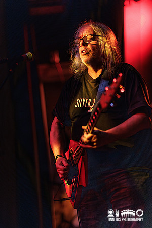 The Bevis Frond in concert