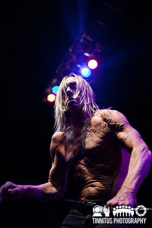 The Stooges in concert