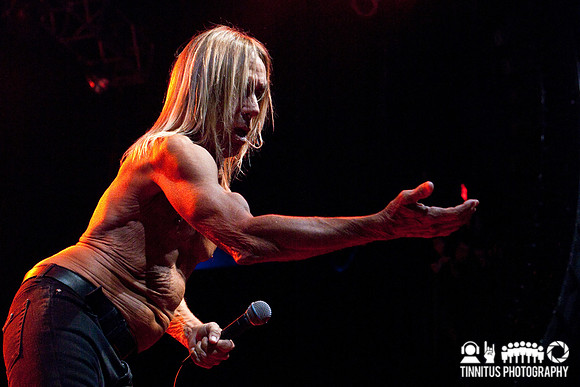 The Stooges in concert
