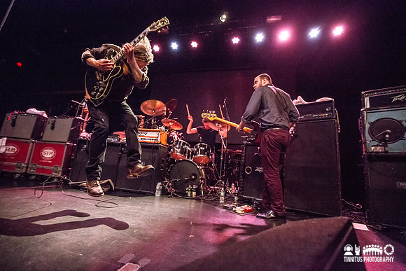 Swans in concert