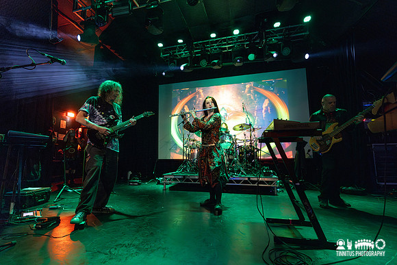 Ozric Tentacles in concert