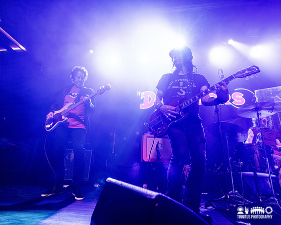 The Dictators in concert