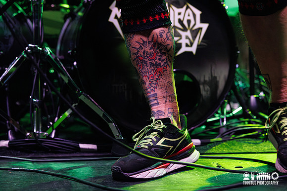 Municipal Waste in concert
