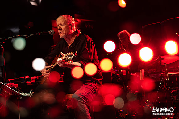 Swans in concert