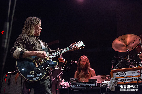 Swans in concert