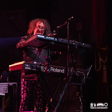 The Damned in concert