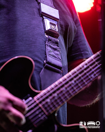 The Afghan Whigs in concert