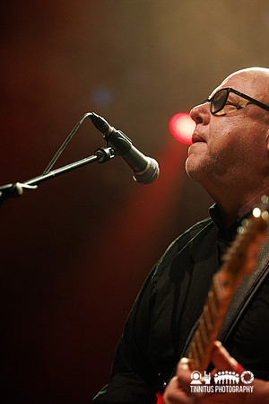 Frank Black in concert