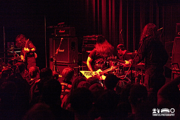 Acrassicauda in concert