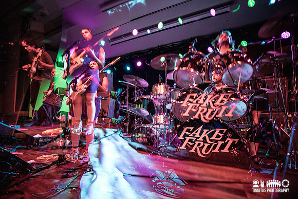 Fake Fruit in concert
