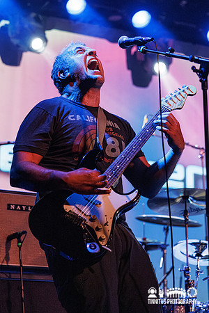 Elsewhere in concert