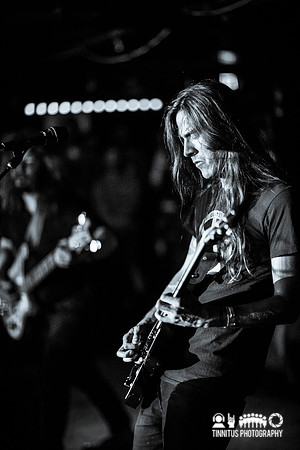 Elder in concert