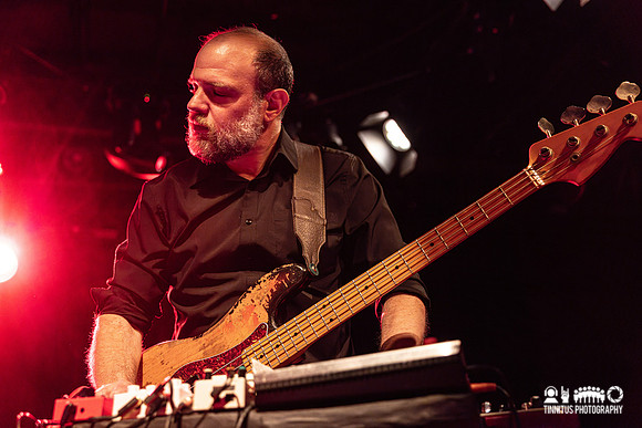 Swans in concert