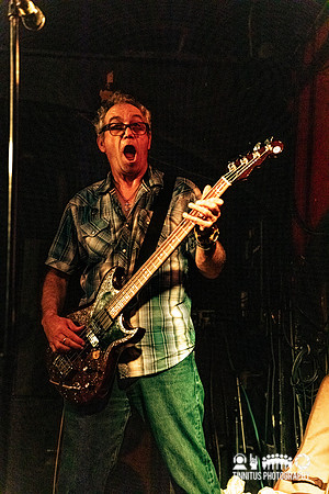 MSSV in concert