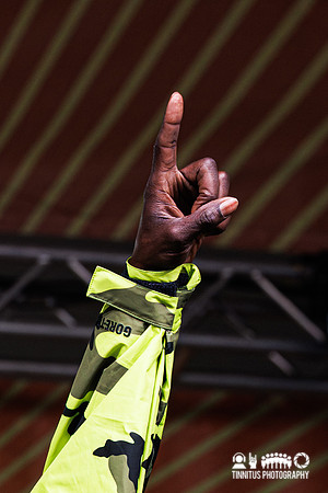 Public Enemy in concert