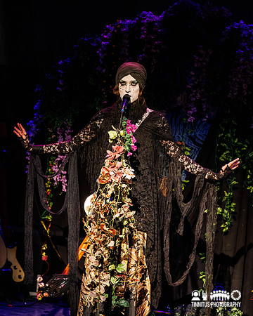 Jonathan Hulten in concert