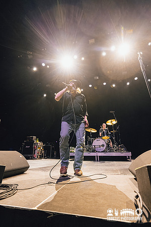 The Jesus Lizard in concert
