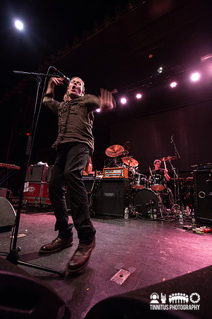 Swans in concert