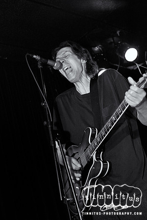 The Styrenes in concert