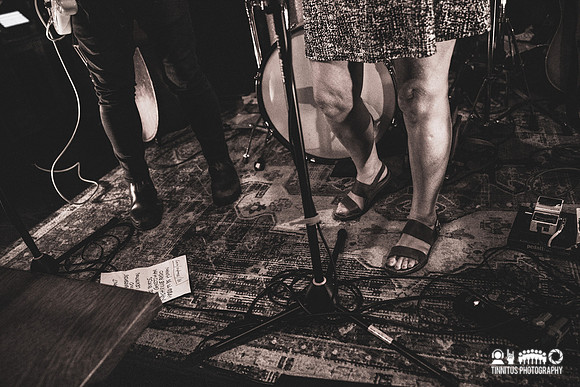 Jon Langford and Sally Timms in concert