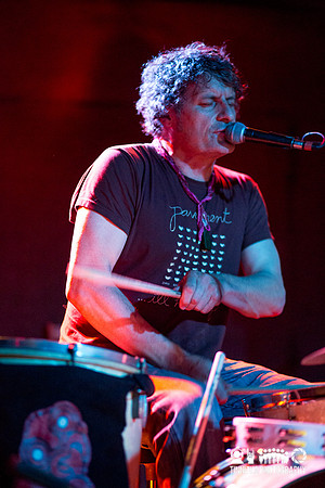 The Clean in concert