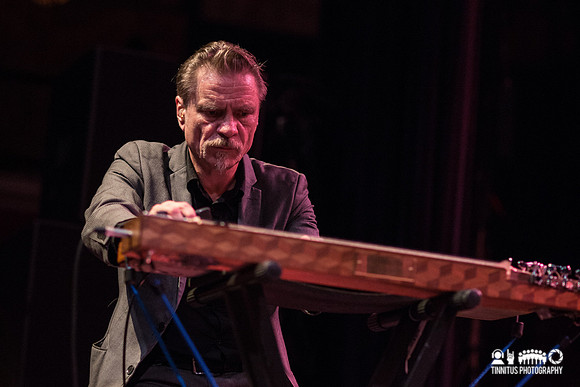 Swans in concert