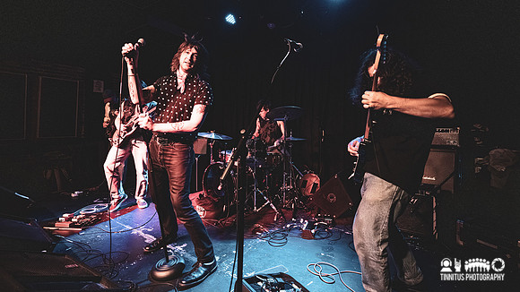 Red Herrings in concert