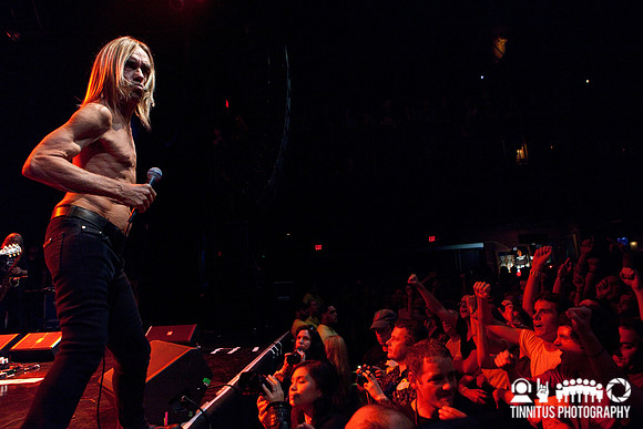 The Stooges in concert