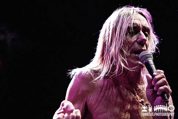 The Stooges in concert