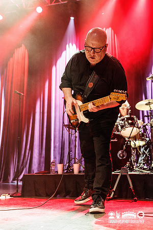 Frank Black in concert
