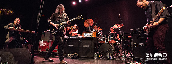 Swans in concert