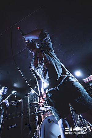 Cutters in concert