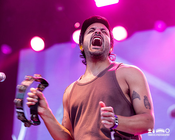 Young The Giant in concert