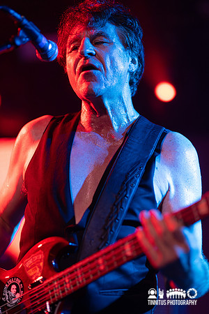 The Chameleons in concert
