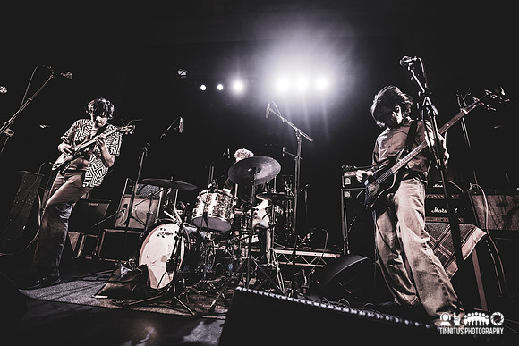 Alien Nosejob in concert