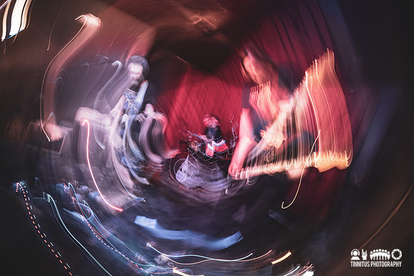 Osmia in concert