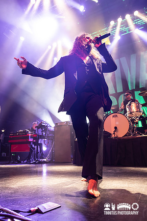 Rival Sons in concert