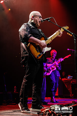 Frank Black in concert