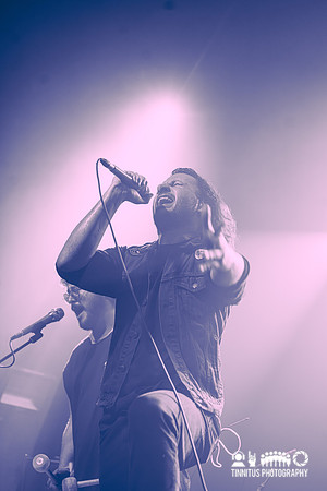 Green Lung in concert