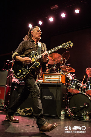 Swans in concert