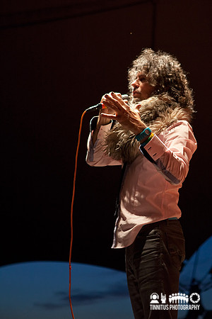 The Flaming Lips in concert